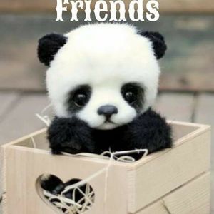 Meet your Posher, Joanna